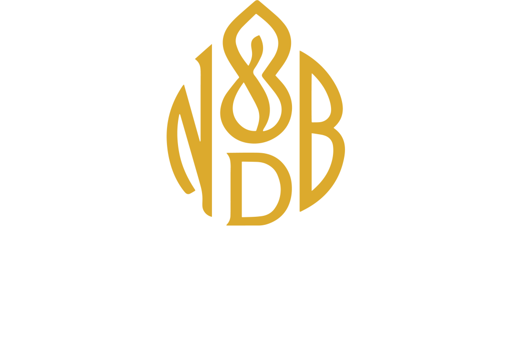 NDB Logo white