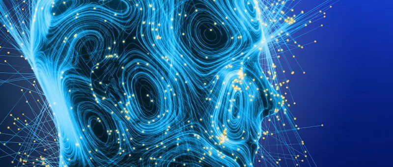 Technology Ecosystem