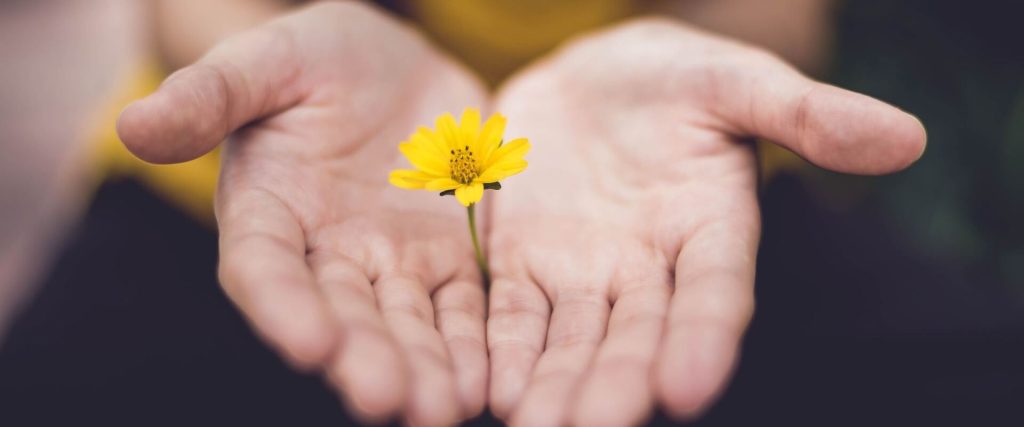 People & Organizational Performance